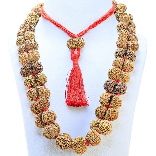 9 Mukhi Gaurishankar Nepali Kantha - Rudraksha Zoom Image