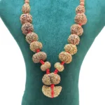 1 to 14 Mukhi Rudraksha Mala ( Siddha Mala ) - 28.3546 - Rudraksha Zoom Image