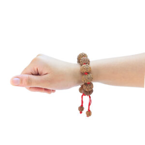 8 Mukhi Indonesian Bracelet - Rudraksha Zoom Image