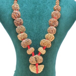 1 to 14 Mukhi Rudraksha Mala ( Siddha Mala )29.3859 - Rudraksha Zoom Image