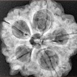 5 Mukhi Ganesh 29.3mm 6.65gm - Xray