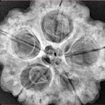 5 Mukhi Rudraksha 29.7mm 8gm - Xray
