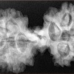 9 Mukhi Mini Trijuti 39.6mm 7.85gm - Xray