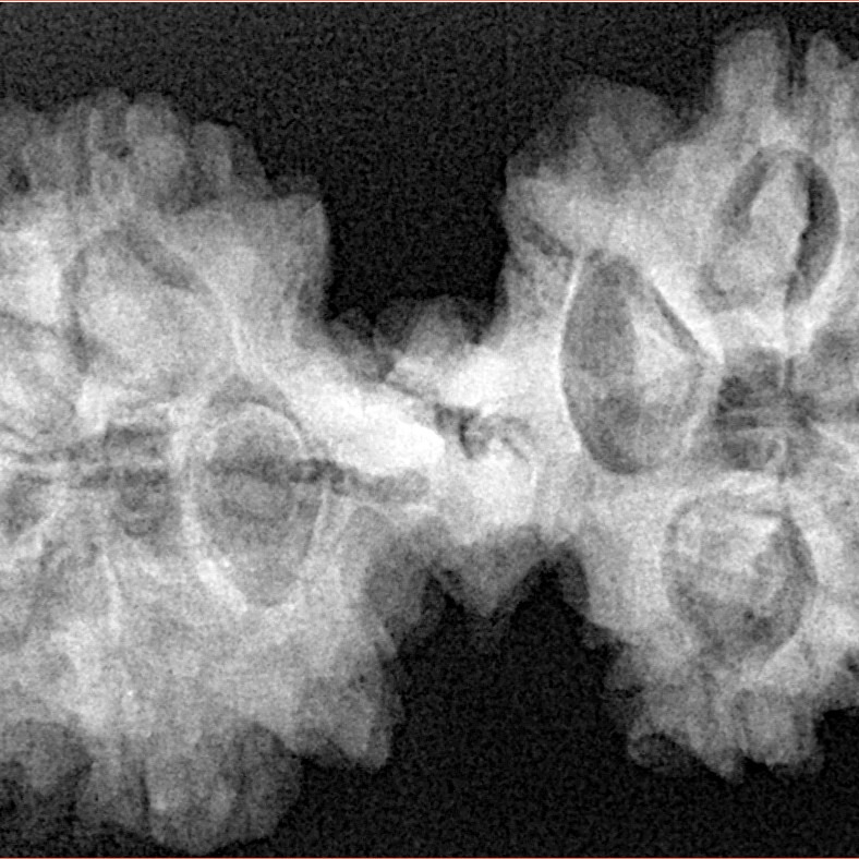 9 Mukhi Mini Trijuti 39.6mm 7.85gm - Xray