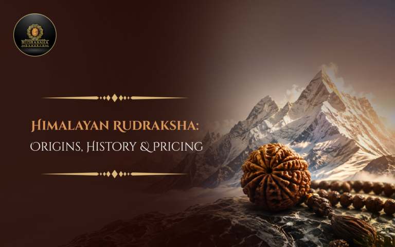 Himalayan Rudraksha: Origins, History & Pricing 