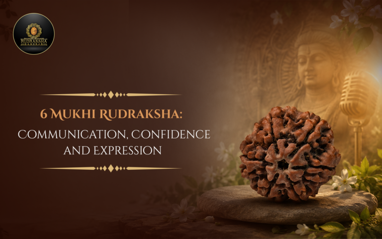 6 Mukhi Rudraksha: Communication, Confidence and Expression 
