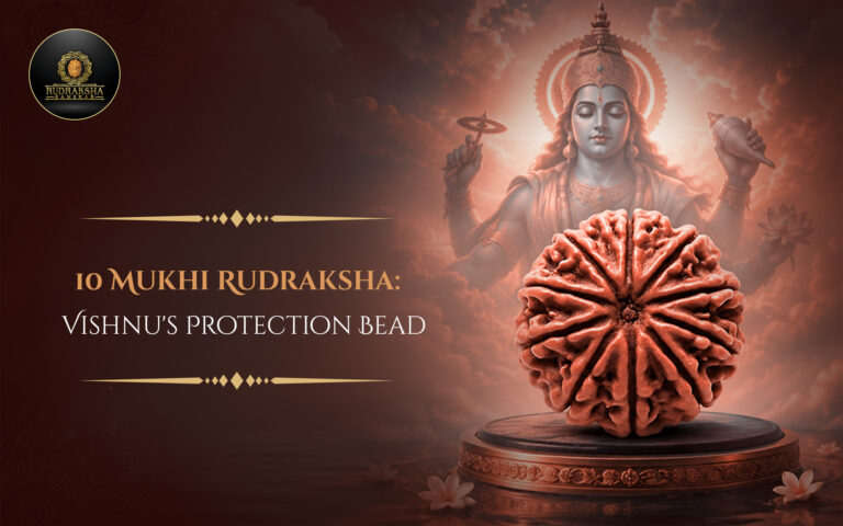 10 Mukhi Rudraksha: Vishnu’s Protection Bead