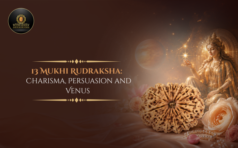 13 Mukhi Rudraksha: Charisma, Persuasion and Venus 