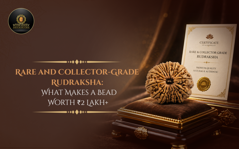 Rare and Collector-Grade Rudraksha: What Makes a Bead Worth ₹2 Lakh+ 