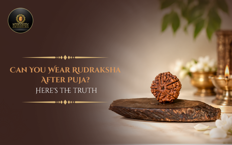 Can You Wear Rudraksha After Puja? Here’s the Truth 
