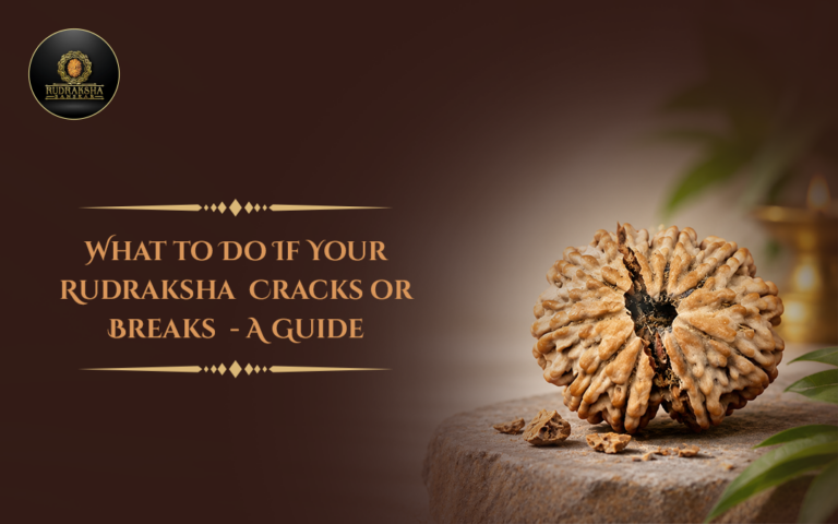 What to Do If Your Rudraksha Cracks or Breaks: A Guide