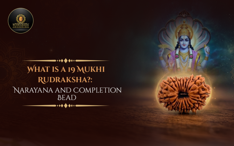 What Is a 19 Mukhi Rudraksha? Narayana and Completion Bead