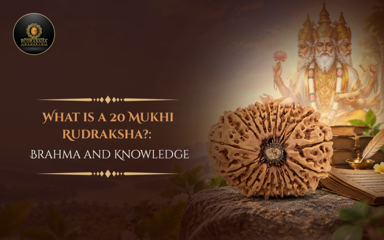 What Is a 20 Mukhi Rudraksha? Brahma and Knowledge