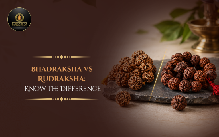 Bhadraksha vs Rudraksha: Know the Difference