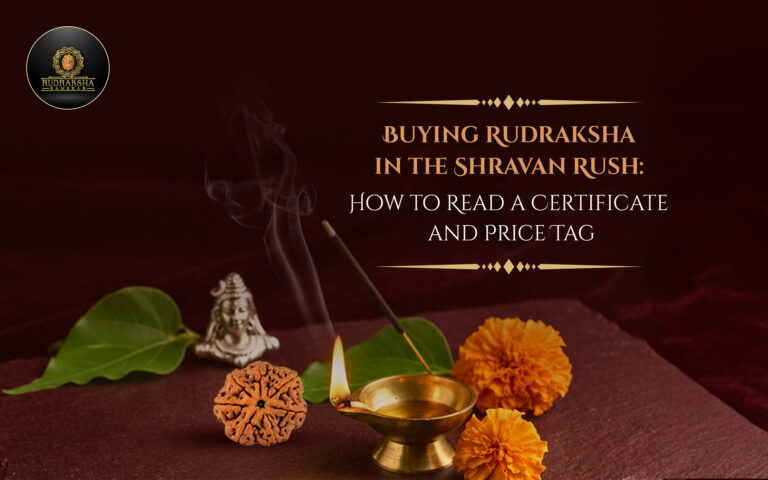 Buying Rudraksha in the Shravan Rush: How to Read a Certificate and Price Tag 