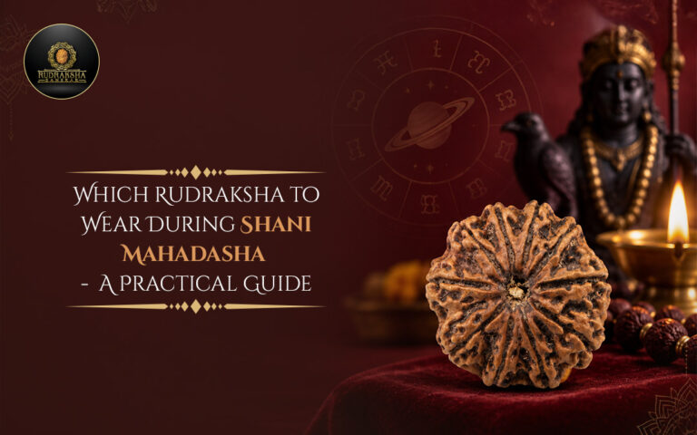Which Rudraksha to Wear During Shani Mahadasha: A Practical Guide 