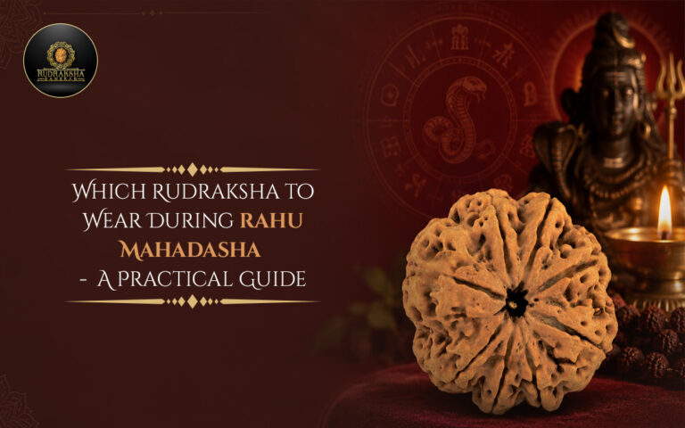 Which Rudraksha to Wear During Rahu Mahadasha: A Practical Guide 