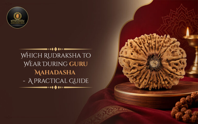 Which Rudraksha to Wear During Guru Mahadasha: A Practical Guide