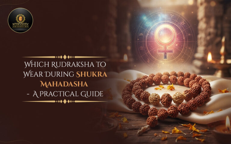Which Rudraksha to Wear During Shukra Mahadasha: A Practical Guide 