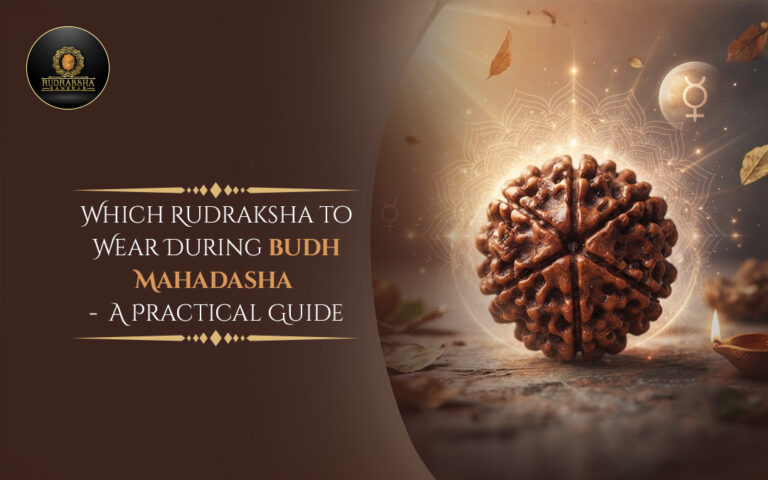 Which Rudraksha to Wear During Budh Mahadasha – A Practical Guide