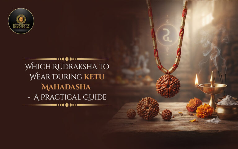 Which Rudraksha to Wear During Ketu Mahadasha: A Practical Guide