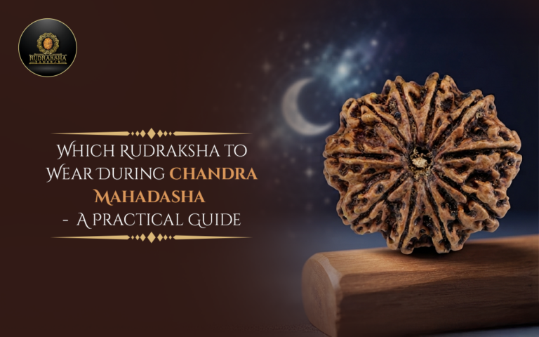 Which Rudraksha to Wear During Chandra Mahadasha: A Practical Guide 