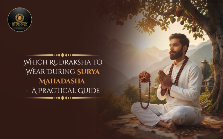 Which Rudraksha to Wear During Surya Mahadasha: A Practical Guide 