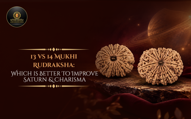 13 vs 14 Mukhi Rudraksha: Which Is Better to Improve Saturn & Charisma?