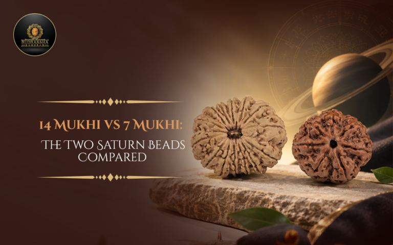 14 Mukhi vs 7 Mukhi: The Two Saturn Beads Compared