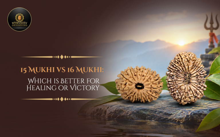 15 vs 16 Mukhi Rudraksha: Which Is Better for Healing or Victory?