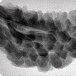 1 Mukhi Rudraksha 40.2mm 6.19gm - Inverse xray