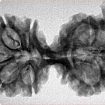 9 Mukhi G.S & Ganesh 36.3mm 5.33gm - Inverse xray