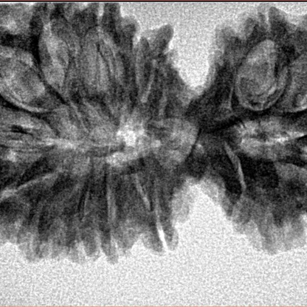 18 MK Gaurishankar 39.4mm 5.56gm - Inverse xray
