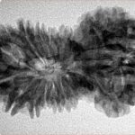 17 MK Gaurishankar 34.6mm 5gm - Inverse xray