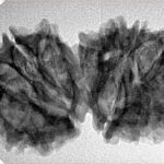 14 Mk Gaurishankar 33.6mm 4.88gm - Inverse xray