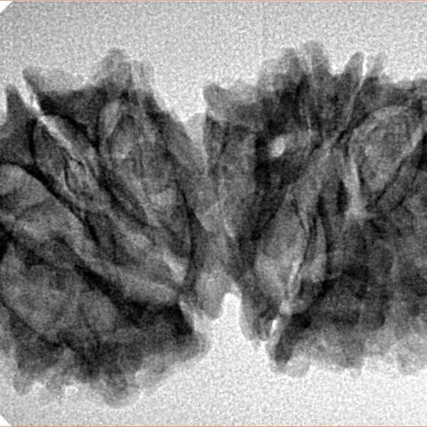 14 Mk Gaurishankar 33.6mm 4.88gm - Inverse xray