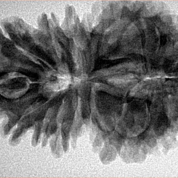 16 MK Gaurishankar 35mm 6.36gm - Inverse xray