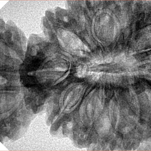 18 MK Gaurishankar 47.1mm 10gm - Inverse xray