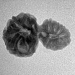 17 MK Gaurishankar 21mm 1.38gm - Inverse xray