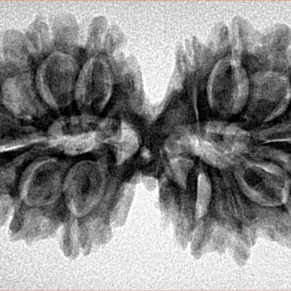 14 Mk Gaurishankar 34.8mm 5.45gm - Inverse xray