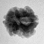 2 Mukhi Rudraksha 18.2mm 1.87gm - Inverse xray
