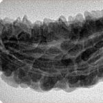 1 Mukhi Rudraksha 42.7mm 6.15gm - Inverse xray