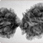 16 MK Gaurishankar 37.8mm 5.25gm - Inverse xray