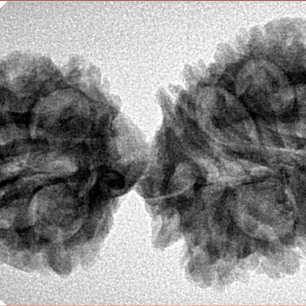 16 MK Gaurishankar 37.8mm 5.25gm - Inverse xray