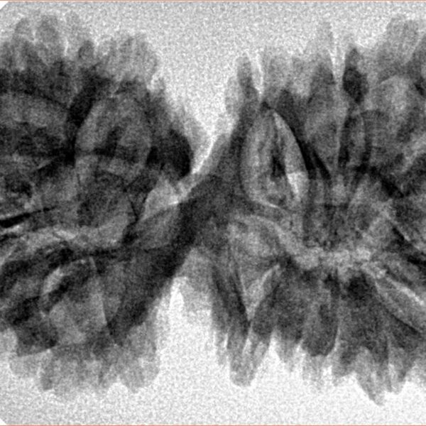 18 MK Gaurishankar 39.6mm 6.33gm - Inverse xray