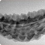 1 Mukhi Rudraksha 42.1mm 3.24gm - Inverse xray