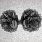 14 Mk Gaurishankar 25.8mm 2.59gm - Inverse xray