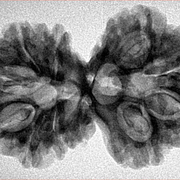 10 Mk G.S & Ganesh 35.4mm 5.48gm - Inverse xray