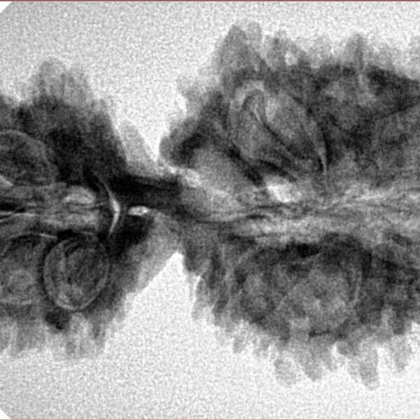 18 MK Gaurishankar 38.5mm 5.49gm - Inverse xray