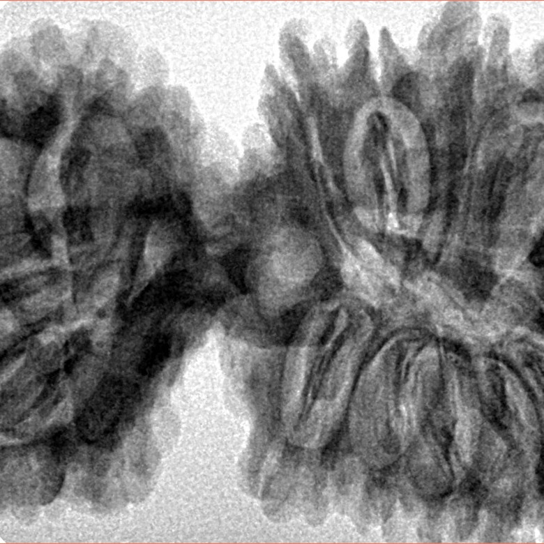 17 MK Gaurishankar 43.1mm 8.28gm - Inverse xray